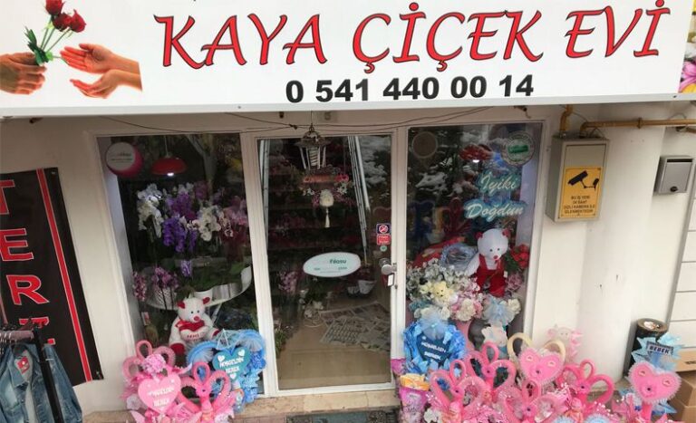 Kaya Çiçek Evi