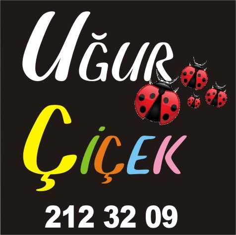 Uğur Çiçekçilik -BOLU - Firma