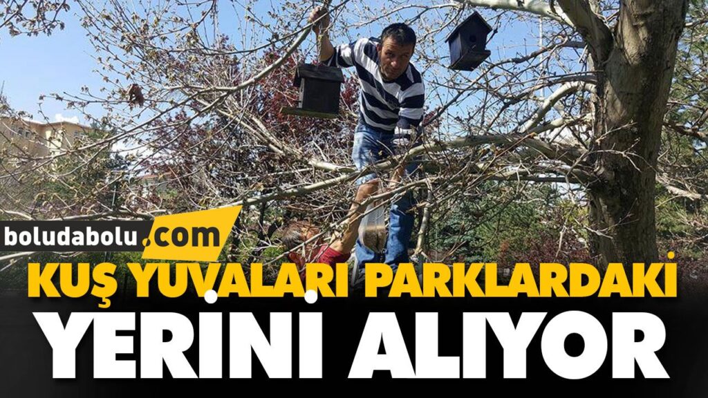 KUŞ YUVALARI PARKLARDAKİ YERİNİ ALIYOR KUŞ YUVALARI PARKLARDAKİ YERİNİ ALIYOR