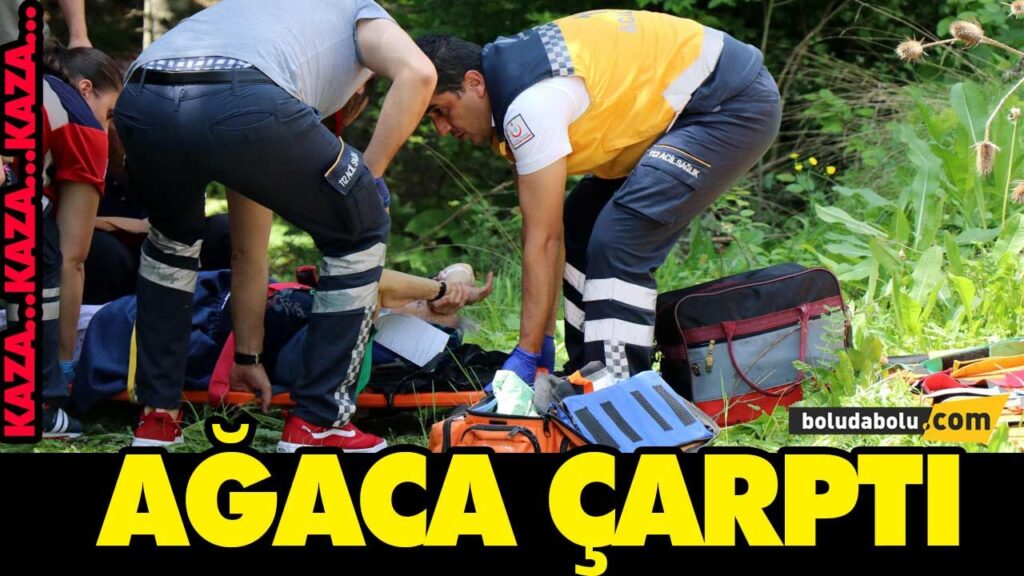 AĞACA ÇARPTI | BOLU AĞACA ÇARPTI | BOLU