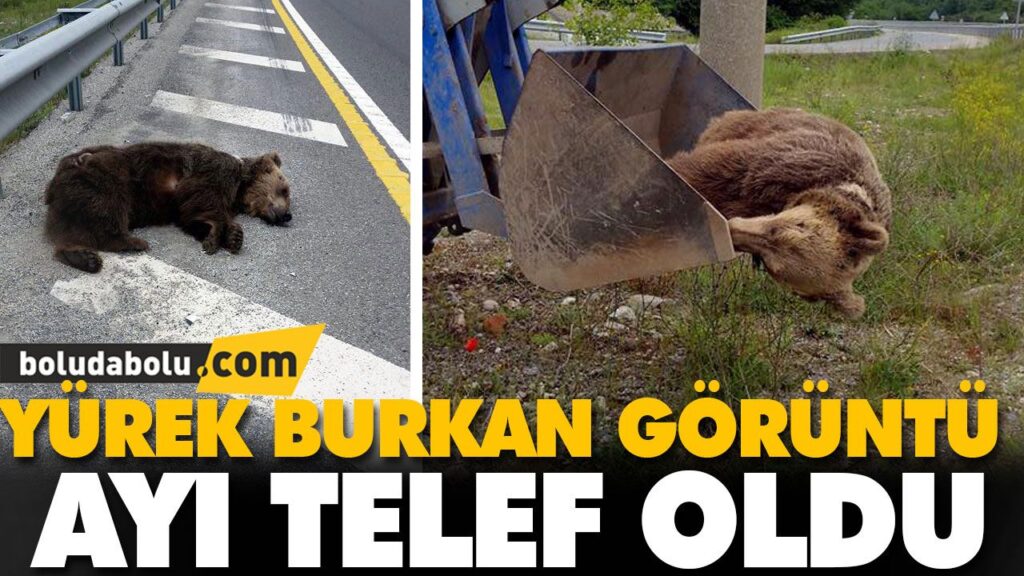 YÜREK BURKAN GÖRÜNTÜ YÜREK BURKAN GÖRÜNTÜ