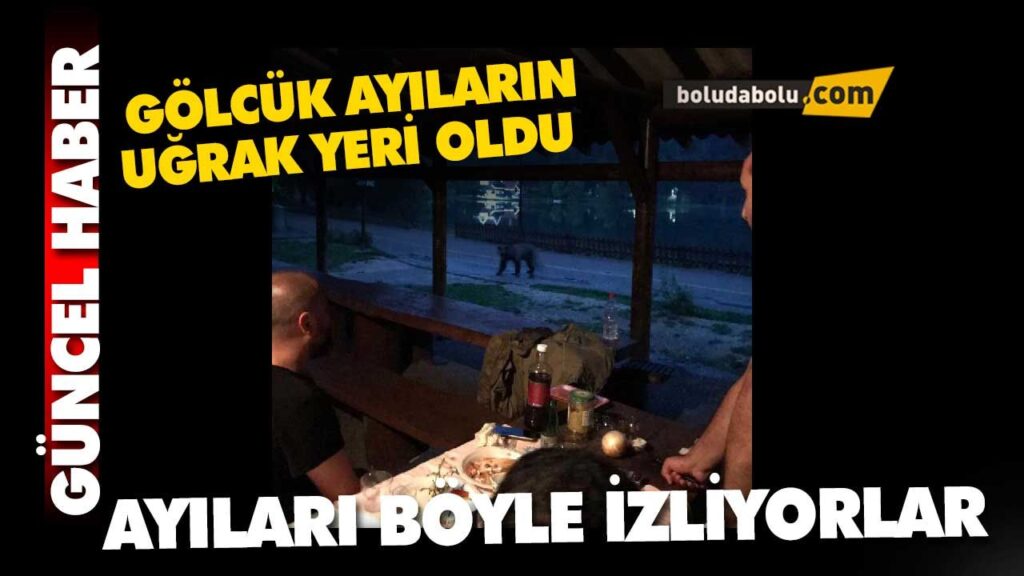 Gölcük ayıların uğrak yeri oldu, ziyaretçiler uyarıldı Gölcük ayıların uğrak yeri oldu, ziyaretçiler uyarıldı