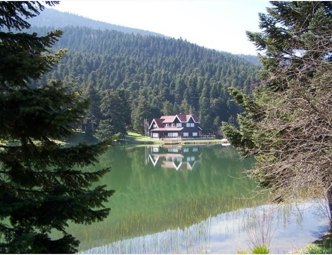 BOLU GÖLCÜK ADRES BOLU GÖLCÜK ADRES - Firma