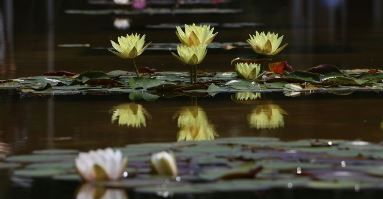 Bolu Nilüfer Sanat Parkı – Nerede- iletişim Bolu Nilüfer Sanat Parkı – Nerede- iletişim - Firma