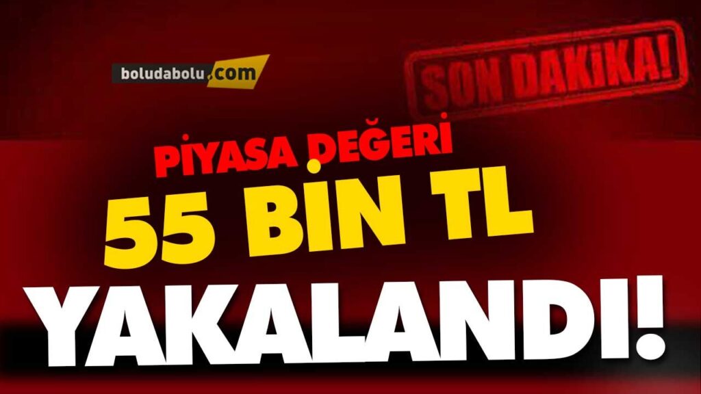 PİYASA DEĞERİ 55 BİN TL | BOLU PİYASA DEĞERİ 55 BİN TL | BOLU