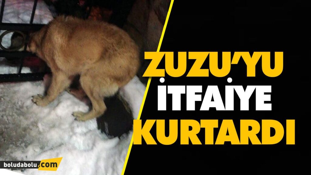 ZUZU’YU İTFAİYE KURTARDI ZUZU’YU İTFAİYE KURTARDI