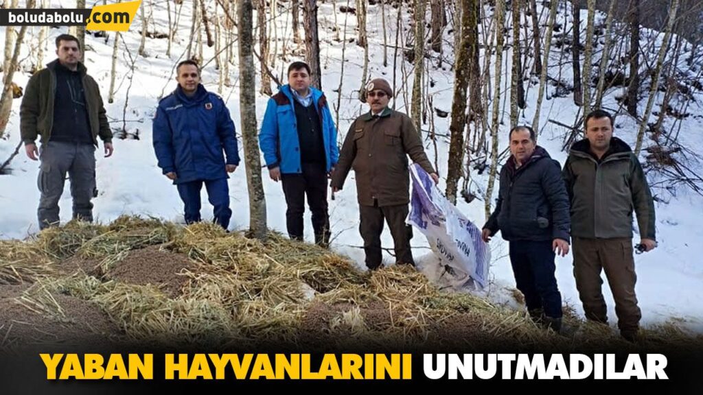 YABAN HAYVANLARINI UNUTMADILAR YABAN HAYVANLARINI UNUTMADILAR