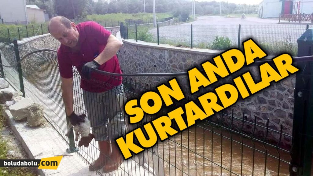 SON ANDA KURTARTILDILAR SON ANDA KURTARTILDILAR