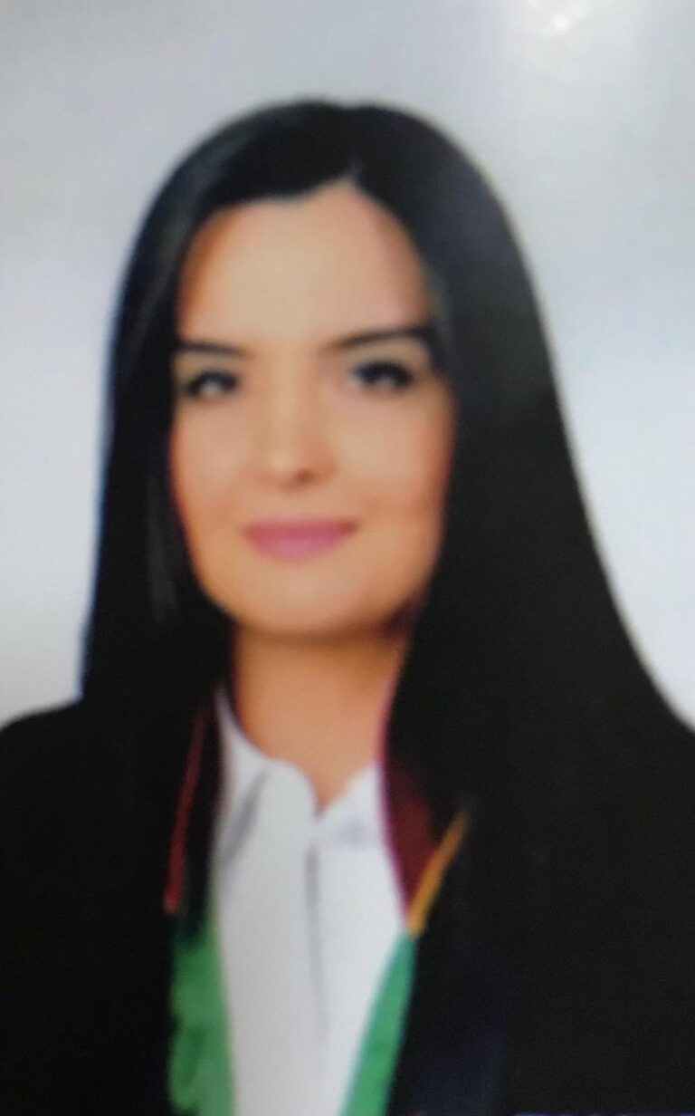 Avukat Elif Gülen - Firma