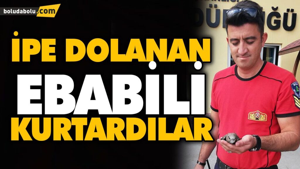 İPE DOLANAN EBABİLİ KURTARDILAR İPE DOLANAN EBABİLİ KURTARDILAR