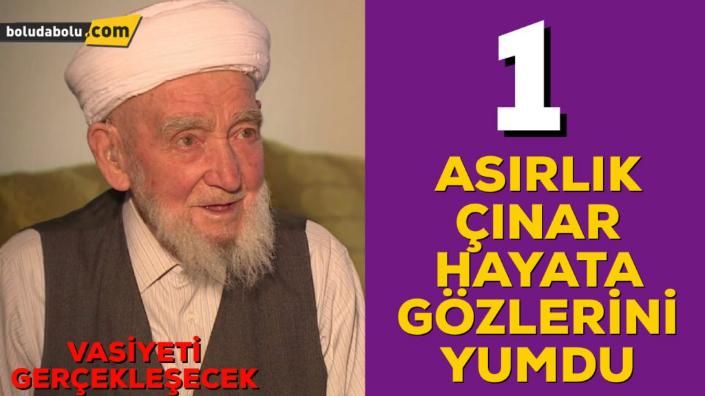 1 ASIRLIK ÇINAR HAYATA VEDA ETTİ 1 ASIRLIK ÇINAR HAYATA VEDA ETTİ