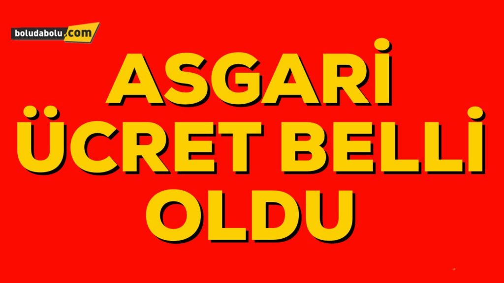 ASGARİ ÜCRET BELLİ OLDU ASGARİ ÜCRET BELLİ OLDU