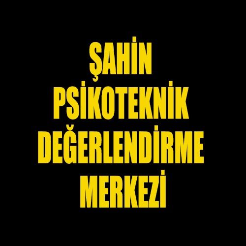 ŞAHİN PSİKOTEKNİK DEĞERLENDİRME MERKEZİ - Firma