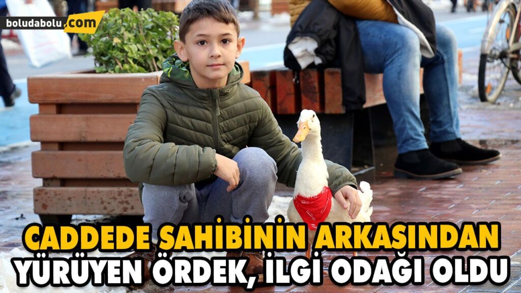 CADDEDE SAHİBİNİN ARKASINDAN YÜRÜYEN ÖRDEK, İLGİ ODAĞI OLDU CADDEDE SAHİBİNİN ARKASINDAN YÜRÜYEN ÖRDEK, İLGİ ODAĞI OLDU