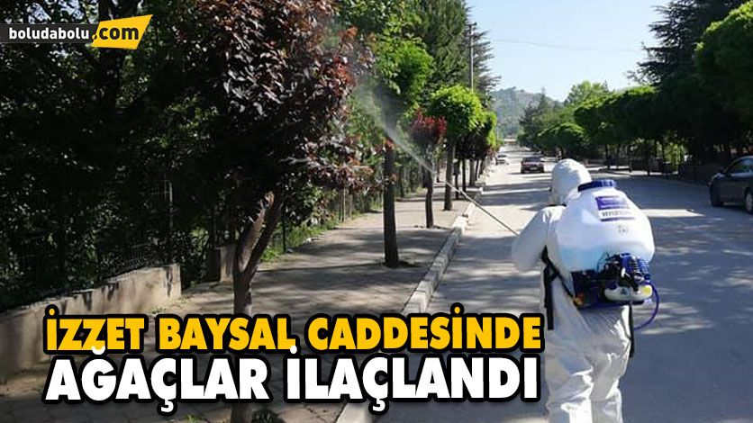 İZZET BAYSAL CADDESİNDE AĞAÇLAR İLAÇLANDI İZZET BAYSAL CADDESİNDE AĞAÇLAR İLAÇLANDI