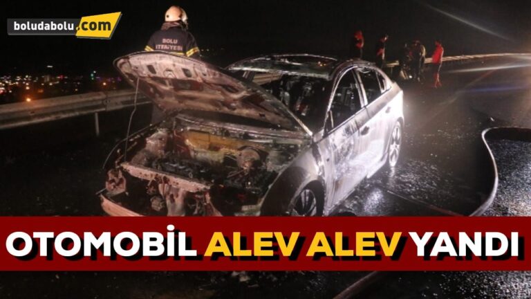 TEM’de alev alev yanan otomobil küle döndü