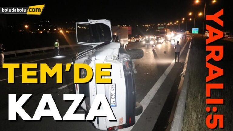 TEM’de otobüsle çarpışan pikap devrildi: 5 yaralı