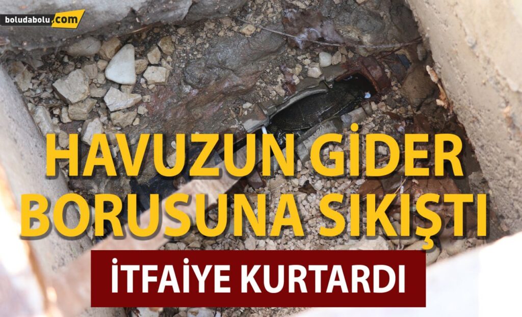 Havuzun gider borusuna sıkışan kaplumbağayı itfaiye kurtardı Havuzun gider borusuna sıkışan kaplumbağayı itfaiye kurtardı