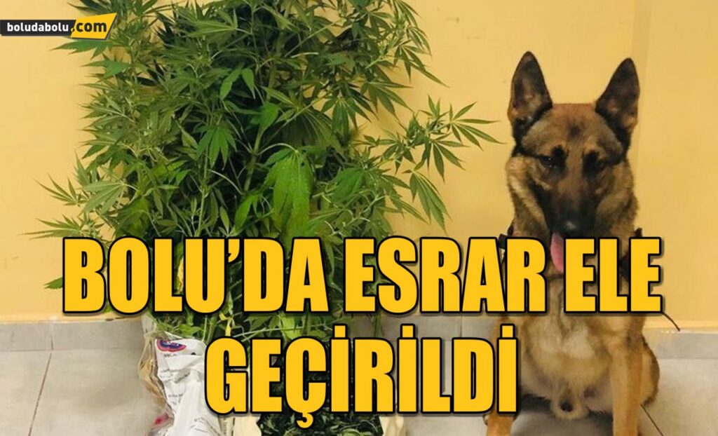 Bolu’da esrar ele geçirildi: 1 gözaltı Bolu’da esrar ele geçirildi: 1 gözaltı
