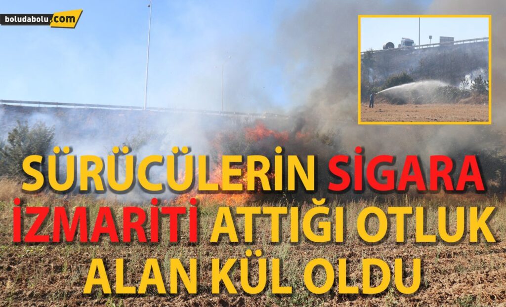 Bolu’da, TEM’in yanındaki 2 dönümlük alan alan alev alev yandı Bolu’da, TEM’in yanındaki 2 dönümlük alan alan alev alev yandı