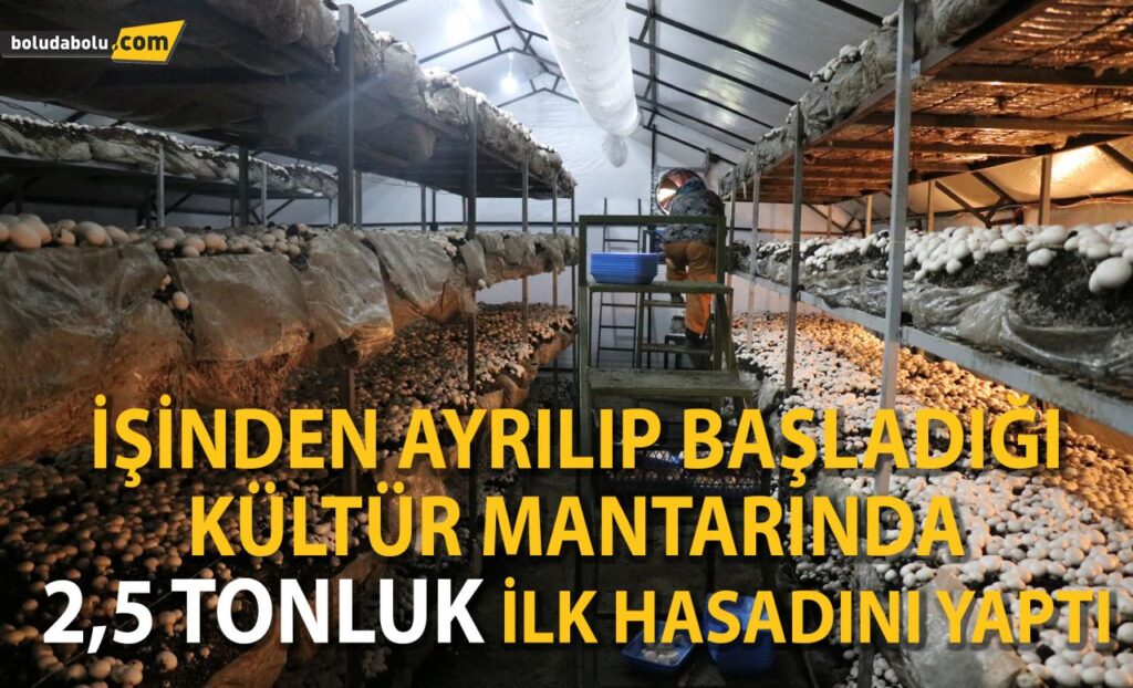 Sağlık sorunları nedeniyle başladığı işten 50 günde 25 bin TL kazanıyor Sağlık sorunları nedeniyle başladığı işten 50 günde 25 bin TL kazanıyor