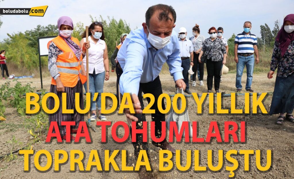 Bolu’da 200 yıllık ıspanak ata tohumları toprakla buluştu Bolu’da 200 yıllık ıspanak ata tohumları toprakla buluştu