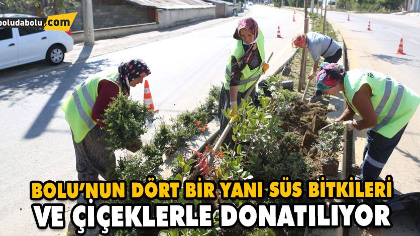 BOLU’NUN DÖRT BİR YANI SÜS BİTKİLERİ VE ÇİÇEKLERLE DONATILIYOR BOLU’NUN DÖRT BİR YANI SÜS BİTKİLERİ VE ÇİÇEKLERLE DONATILIYOR