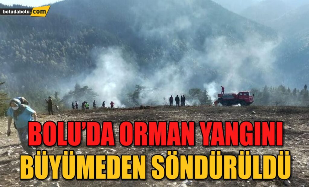 Bolu’da, orman yangını büyümeden söndürüldü Bolu’da, orman yangını büyümeden söndürüldü