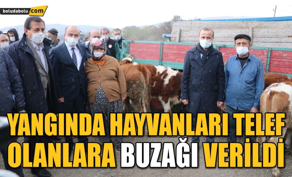 Tarım ve Orman Bakan Yardımcısı, Bolu’daki afetzedeleri ziyaret etti Tarım ve Orman Bakan Yardımcısı, Bolu’daki afetzedeleri ziyaret etti