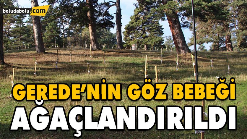 ESENTEPE’DE AĞAÇLANDIRMA ÇALIŞMASI ESENTEPE’DE AĞAÇLANDIRMA ÇALIŞMASI