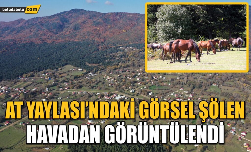 Bolu’da ‘Yılkı Atları’nın evi At Yaylası’nda sonbahar güzelliği Bolu’da ‘Yılkı Atları’nın evi At Yaylası’nda sonbahar güzelliği