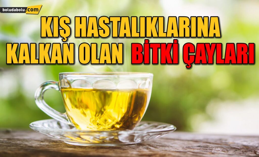 KIŞ HASTALIKLARINA KALKAN OLAN BİTKİ ÇAYLARI KIŞ HASTALIKLARINA KALKAN OLAN BİTKİ ÇAYLARI