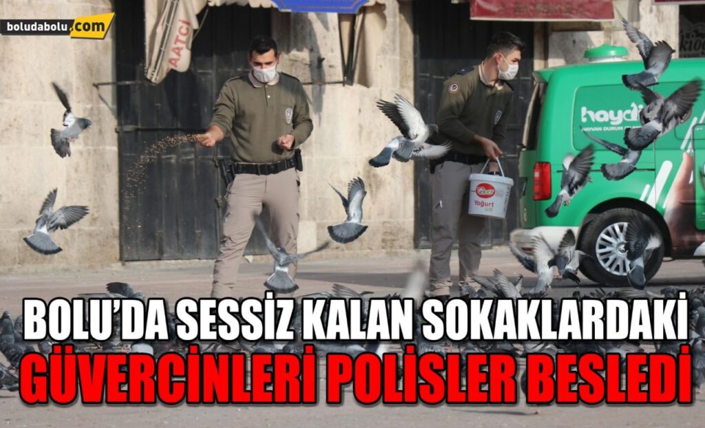 Bolu’da sessiz kalan sokaklardaki güvercinleri polisler besledi Bolu’da sessiz kalan sokaklardaki güvercinleri polisler besledi