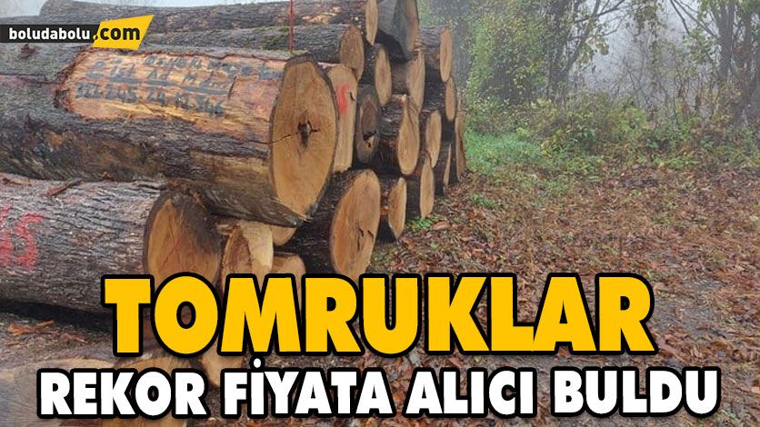 TOMRUKLAR REKOR FİYATA ALICI BULDU TOMRUKLAR REKOR FİYATA ALICI BULDU
