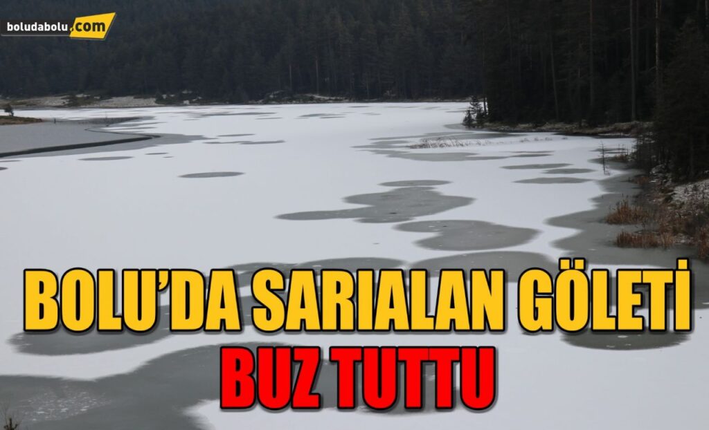 Bolu’da Sarıalan Göleti buz tuttu Bolu’da Sarıalan Göleti buz tuttu