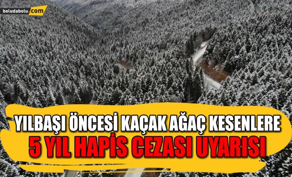 Yılbaşı öncesi kaçak ağaç kesenlere 5 yıl hapis cezası uyarısı Yılbaşı öncesi kaçak ağaç kesenlere 5 yıl hapis cezası uyarısı