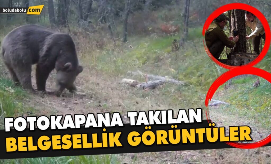 Fotokapana takılan belgesellik görüntüler Fotokapana takılan belgesellik görüntüler