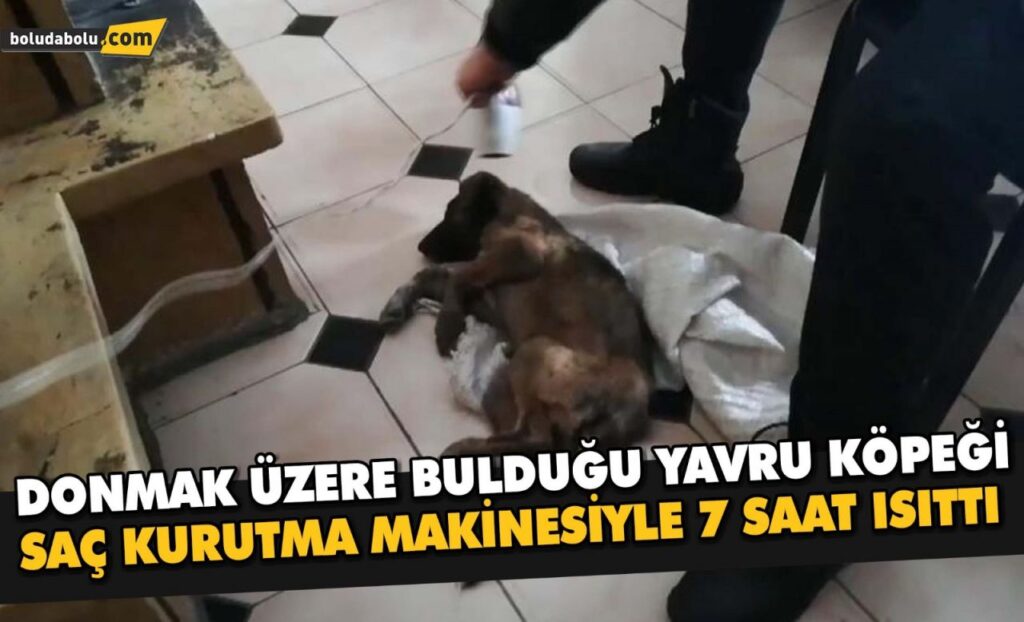 Donmak üzere bulduğu yavru köpeği saç kurutma makinesiyle 7 saat ısıttı Donmak üzere bulduğu yavru köpeği saç kurutma makinesiyle 7 saat ısıttı