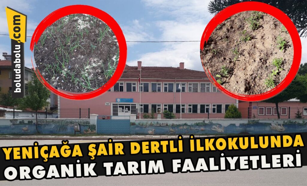 Yeniçağa Şair Dertli İlkokulunda organik tarım faaliyetleri Yeniçağa Şair Dertli İlkokulunda organik tarım faaliyetleri