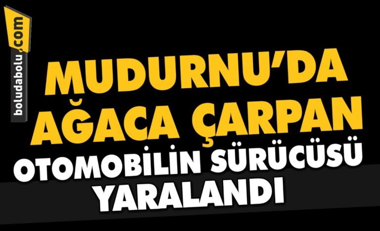 Mudurnu’da ağaca çarpan otomobilin sürücüsü yaralandı