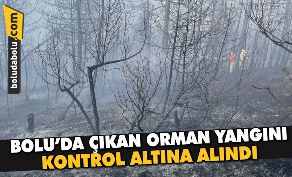 Bolu’da çıkan orman yangını kontrol altına alındı Bolu’da çıkan orman yangını kontrol altına alındı