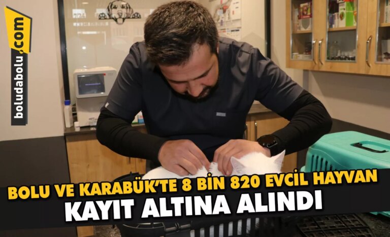 Bolu’da ve Karabük’te 8 bin 820 evcil hayvan kayıt altına alındı