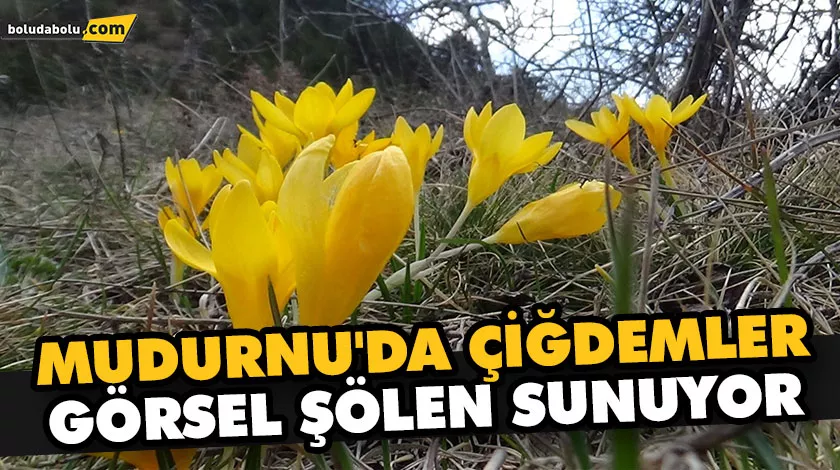 MUDURNU’DA ÇİĞDEMLER GÖRSEL ŞÖLEN SUNUYOR MUDURNU’DA ÇİĞDEMLER GÖRSEL ŞÖLEN SUNUYOR