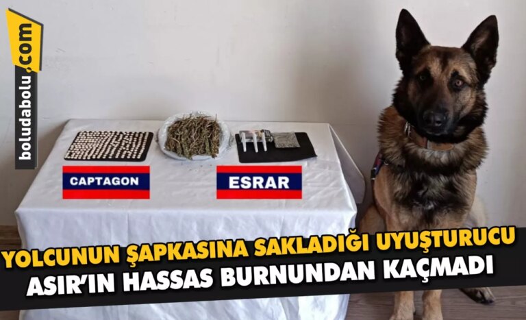 Bolu’da yolcunun şapkasına sakladığı uyuşturucu “Asır”ın hassas burnundan kaçmadı