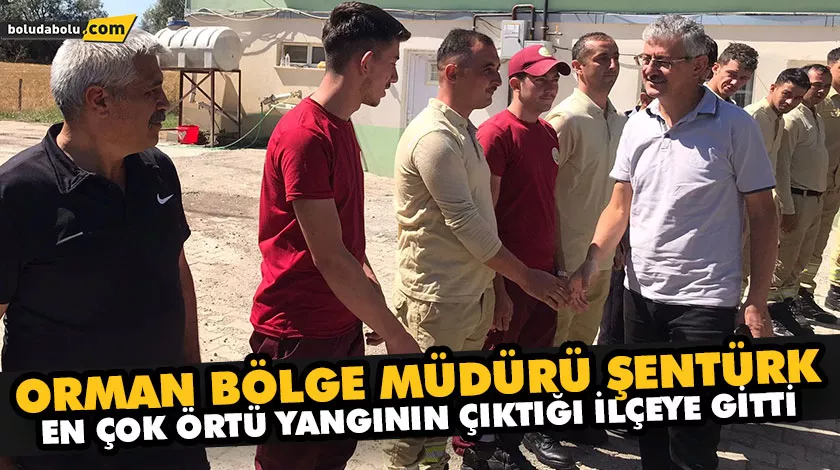 ORMAN BÖLGE MÜDÜRÜ ŞENTÜRK, EN ÇOK ÖRTÜ YANGININ ÇIKTIĞI İLÇEYE GİTTİ ORMAN BÖLGE MÜDÜRÜ ŞENTÜRK, EN ÇOK ÖRTÜ YANGININ ÇIKTIĞI İLÇEYE GİTTİ