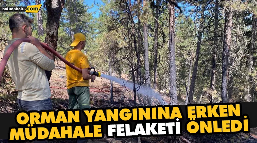 Orman yangınına erken müdahale felaketi önledi Orman yangınına erken müdahale felaketi önledi