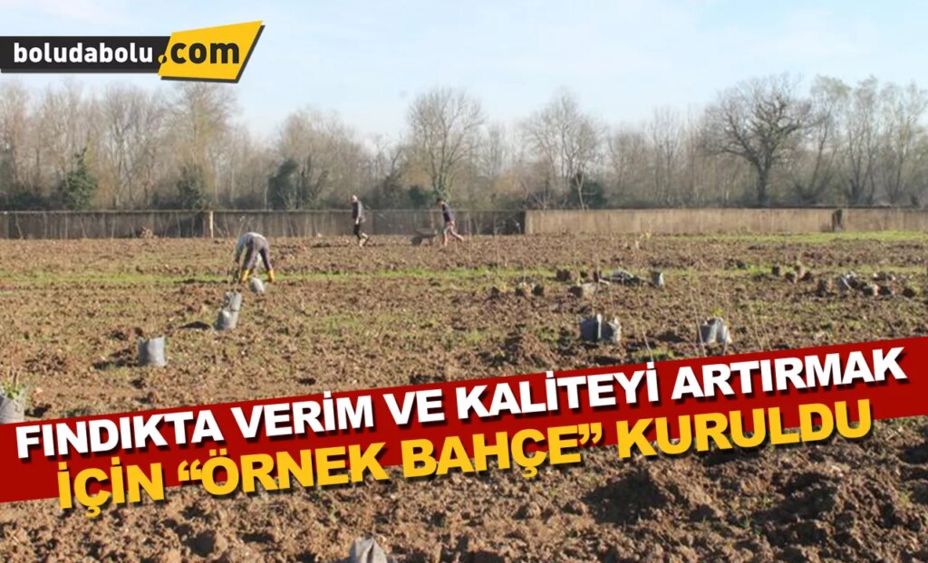 Düzce’de fındıkta verim ve kaliteyi arttırmak için “örnek bahçe” kuruldu Düzce’de fındıkta verim ve kaliteyi arttırmak için “örnek bahçe” kuruldu