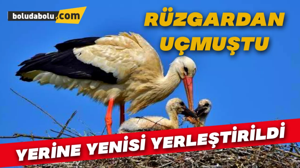 Rüzgardan uçtu Rüzgardan uçtu