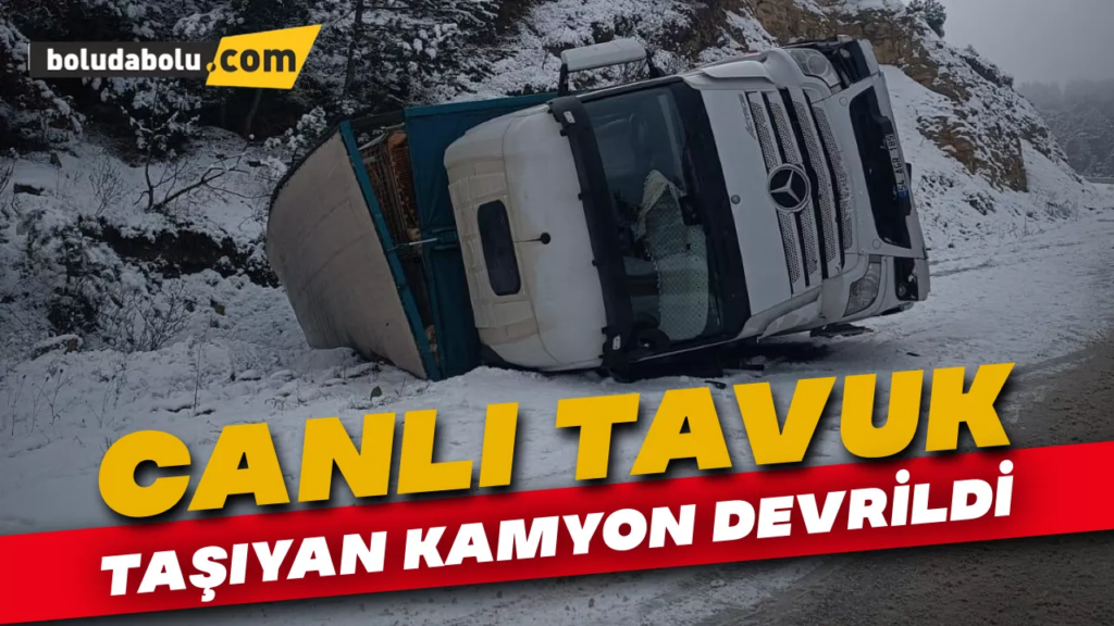 Canlı Tavuk Taşıyan Kamyon Devrildi Canlı Tavuk Taşıyan Kamyon Devrildi