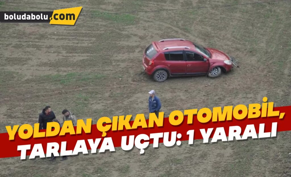 Yoldan çıkan otomobil, tarlaya uçtu: 1 yaralı Yoldan çıkan otomobil, tarlaya uçtu: 1 yaralı